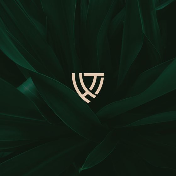 Impeka - Premium WordPress Multipurpose theme by Greatives