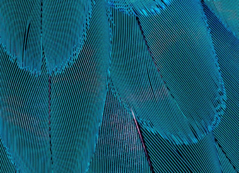 Impeka - Premium WordPress Multipurpose theme by Greatives