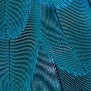 Impeka - Premium WordPress Multipurpose theme by Greatives